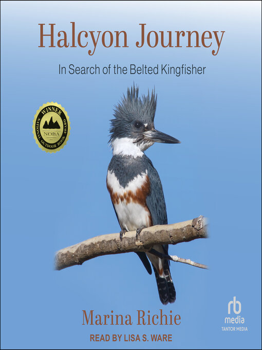 Cover image for Halcyon Journey